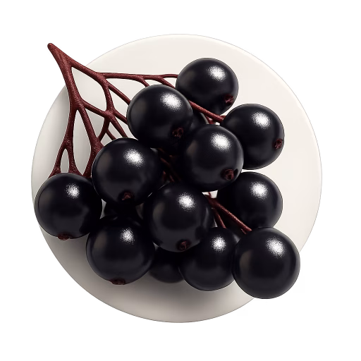 توت آقطی - Elderberry