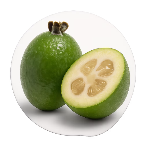 میوه فیجوا - Feijoa Fruit