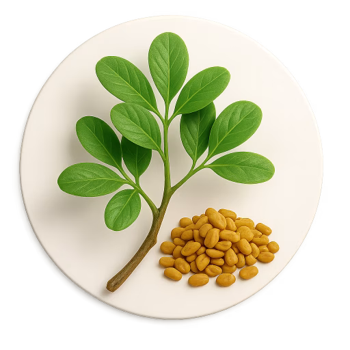 شنبلیله - Fenugreek