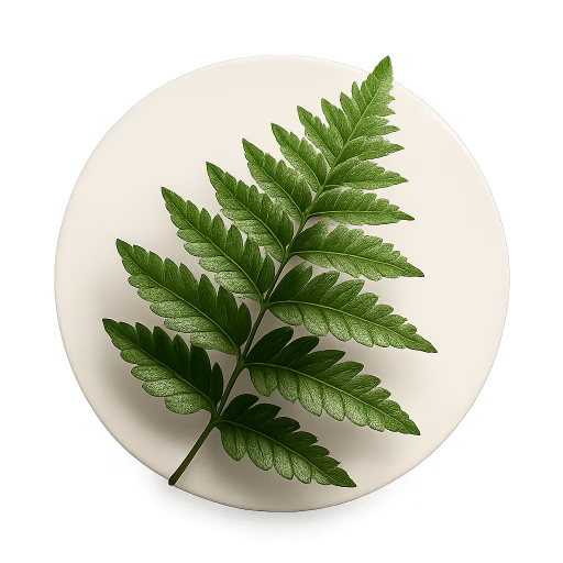 سرخس - Fern