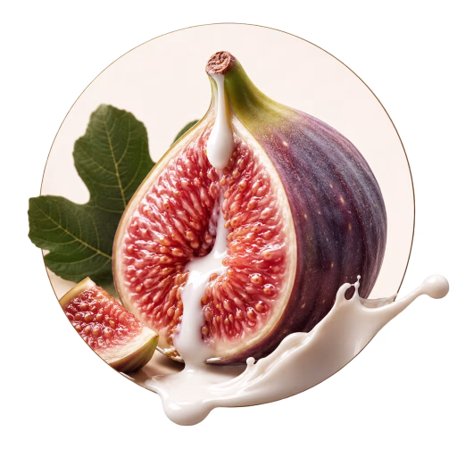 شیر انجیر - Fig Milk