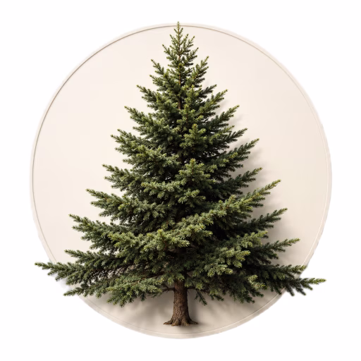 درخت نراد - Fir