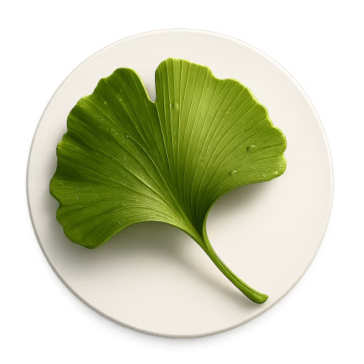 جینکو - Ginkgo