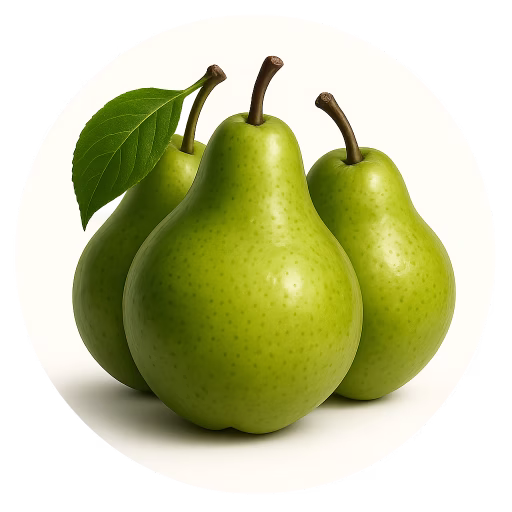 گلابی سبز آنژو - Green Anjou Pears