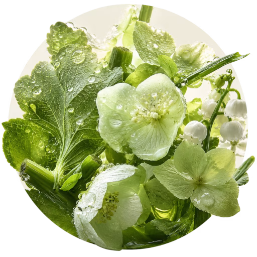 گلبرگ‌های سبز - Green Petals