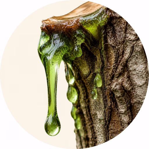 شیره سبز گیاه - Green Sap