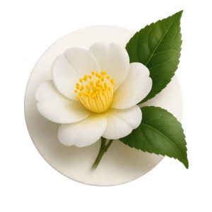 گل چای سبز