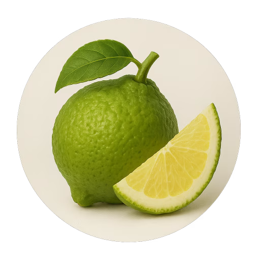 لیمو هاتکورا - Hatkora Lemon