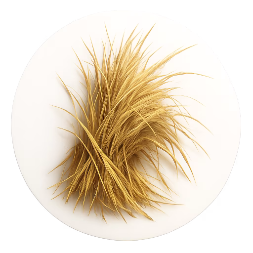 یونجه خشک - Hay