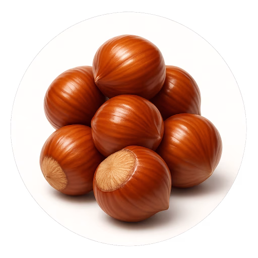 فندق - Hazelnut