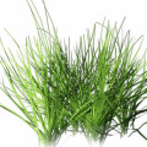 هگزنیل گرین - Hexenyl Green