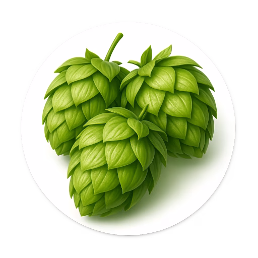 رازک - Hops