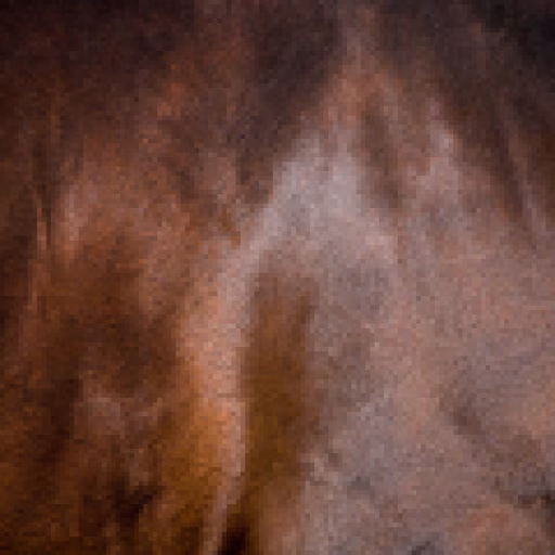 پوست اسب - Horse skin