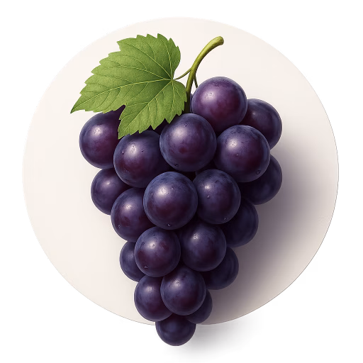 انگور ایزابلا - Isabella Grape