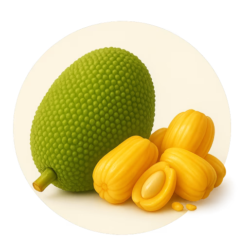 جک‌فروت - Jackfruit