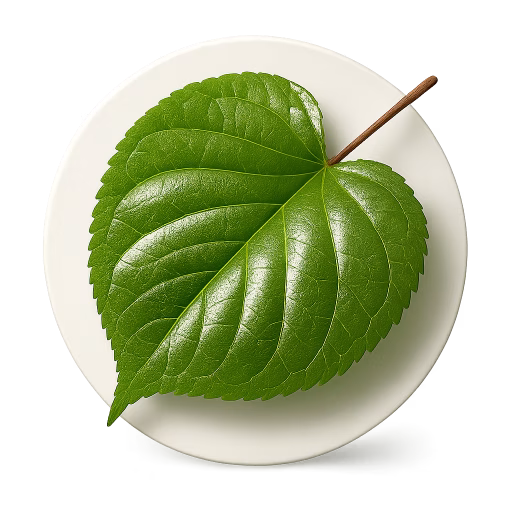 برگ کاتسورا - Katsura Leaf