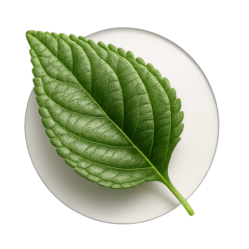 برگ لانتانا - Lantana leaf