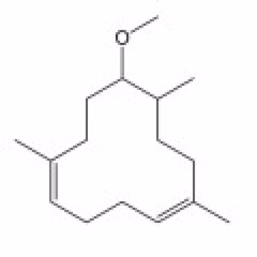 لورنوکس - Lorenox