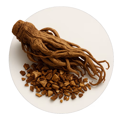 ریشه لوواژ - Lovage Root