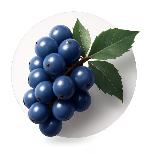 ماهونیا - Mahonia