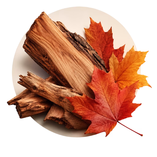 افرا - Maple