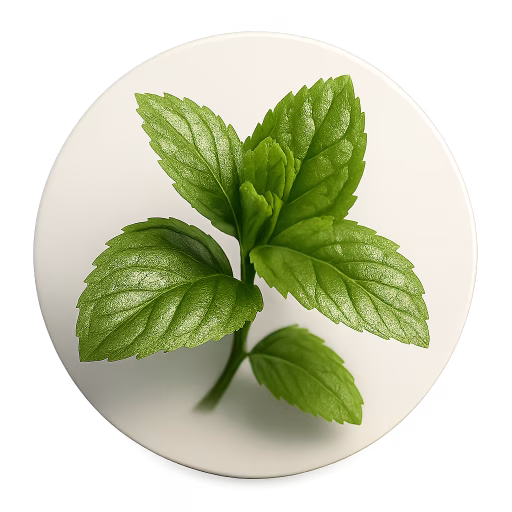 نعناع - Mint