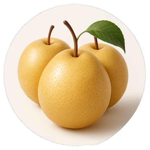 گلابی ناشی - Nashi Pear