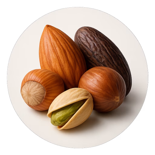 نت‌های آجیلی - Nutty Notes