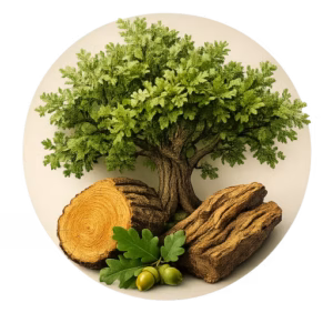 چوب بلوط