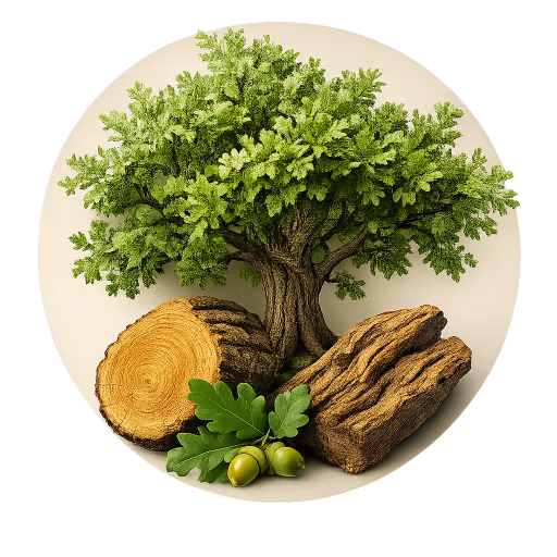 چوب بلوط - Oak