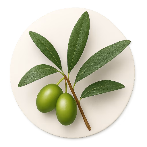 برگ زیتون - Olive Leaf
