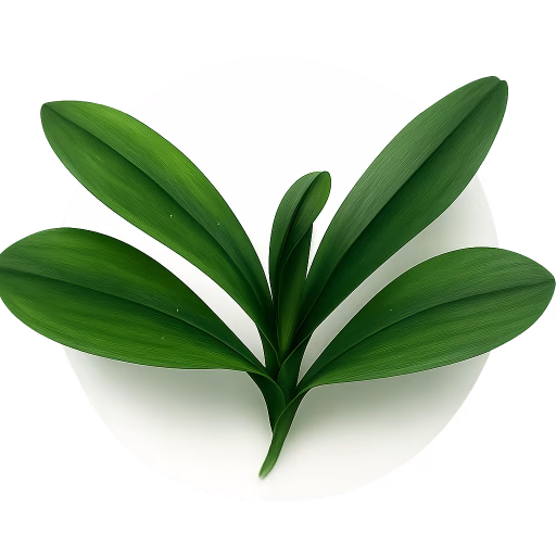 برگ ارکیده - Orchid Leaf