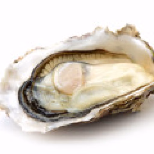 صدف خوراکی - Oysters