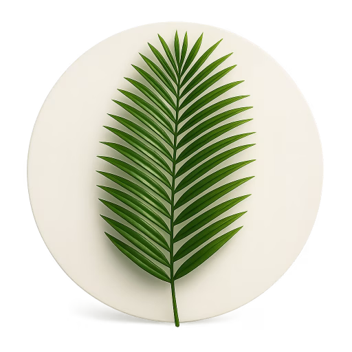برگ نخل - Palm Leaf