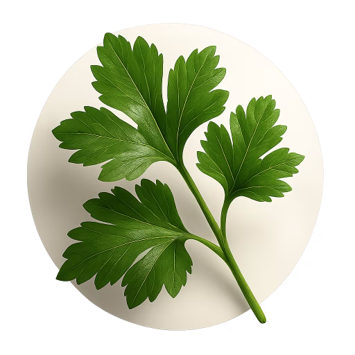 جعفری - Parsley