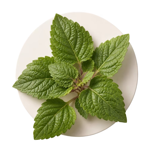 پچولی سبز - Patchouli (Green)