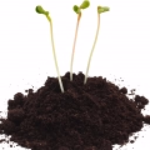 پیت - Peat