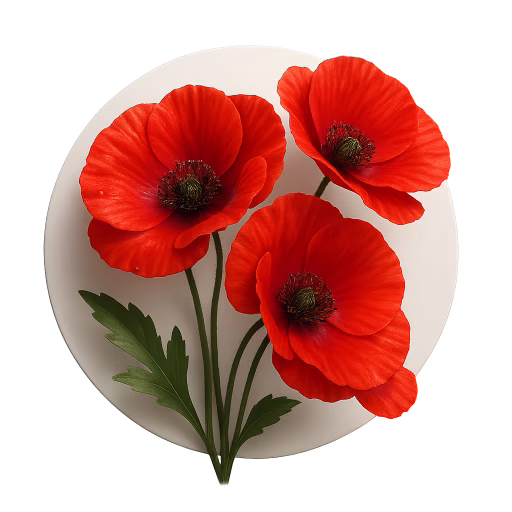 گل شقایق - Poppy