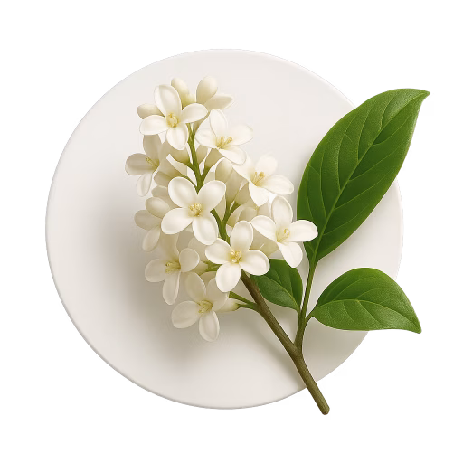 گل ترون - Privet