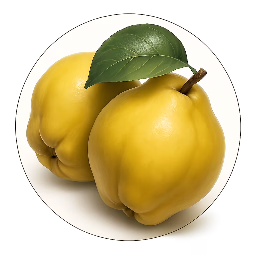 به - Quince