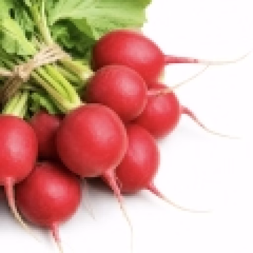 تربچه - Radish