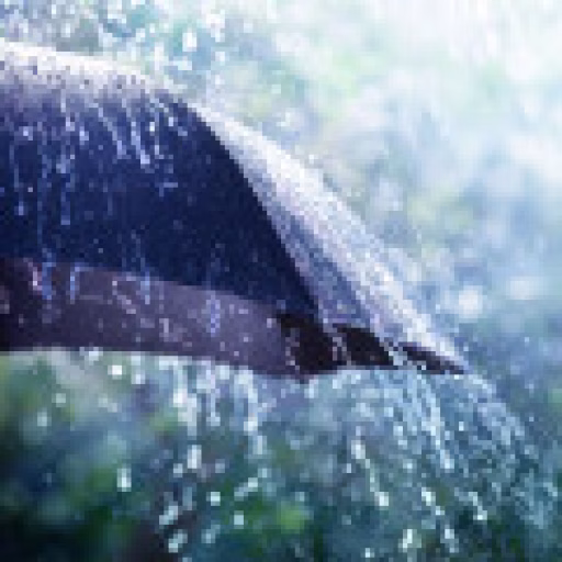 نت‌های باران - Rain Notes