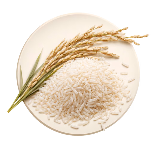 برنج - Rice