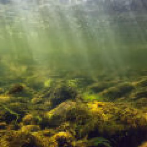 نت‌های رودخانه - River Notes