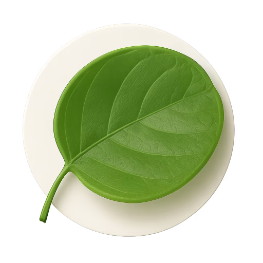 برگ رزوود - Rosewood Leaf