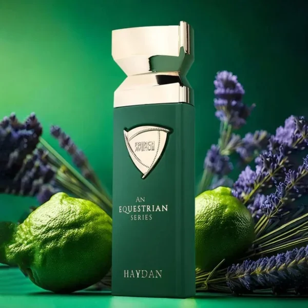 ان اکواسترین سریس هیدن - An Equestrian Series Haydan - Image 3