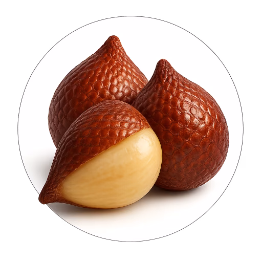 میوه سالاک - Salak