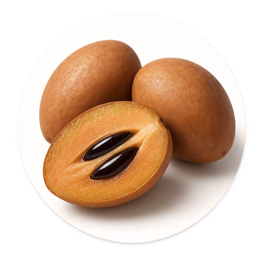 ساپودیلا - Sapodilla