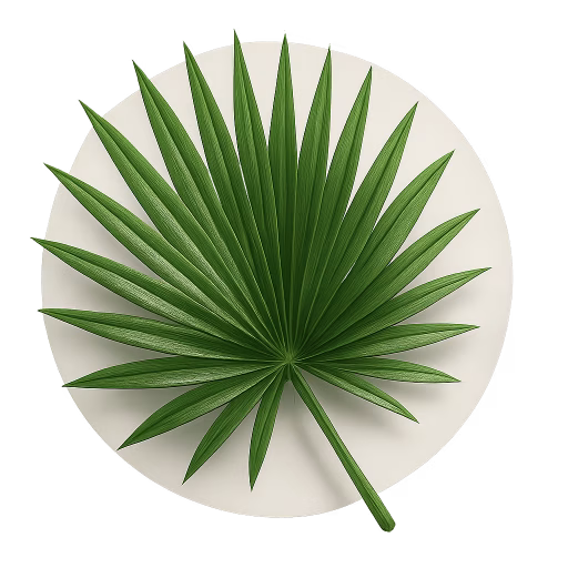 نخل اره‌ای - Saw Palmetto