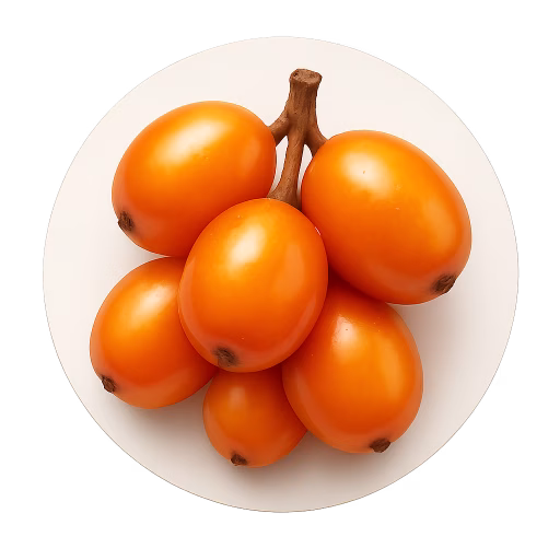 سنجد تلخ دریایی - Sea Buckthorn